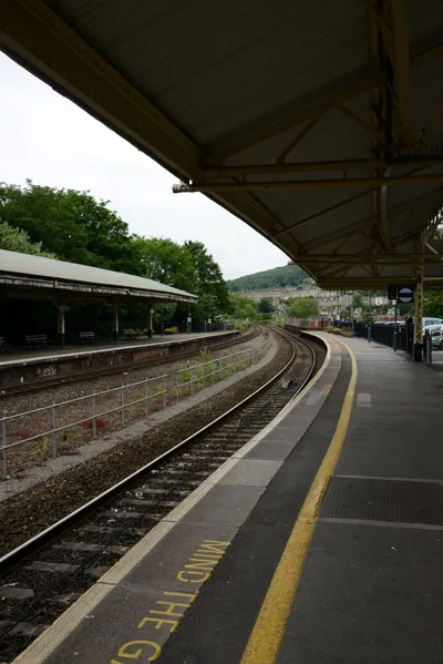 DSC_2527 (Large).JPG